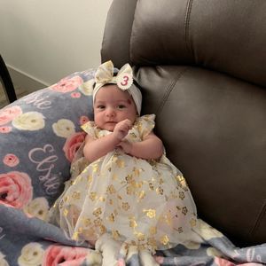 Meet your Posher, Stella